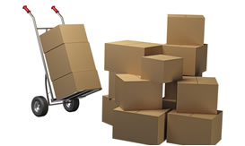 Document packing services Gypsum Colorado